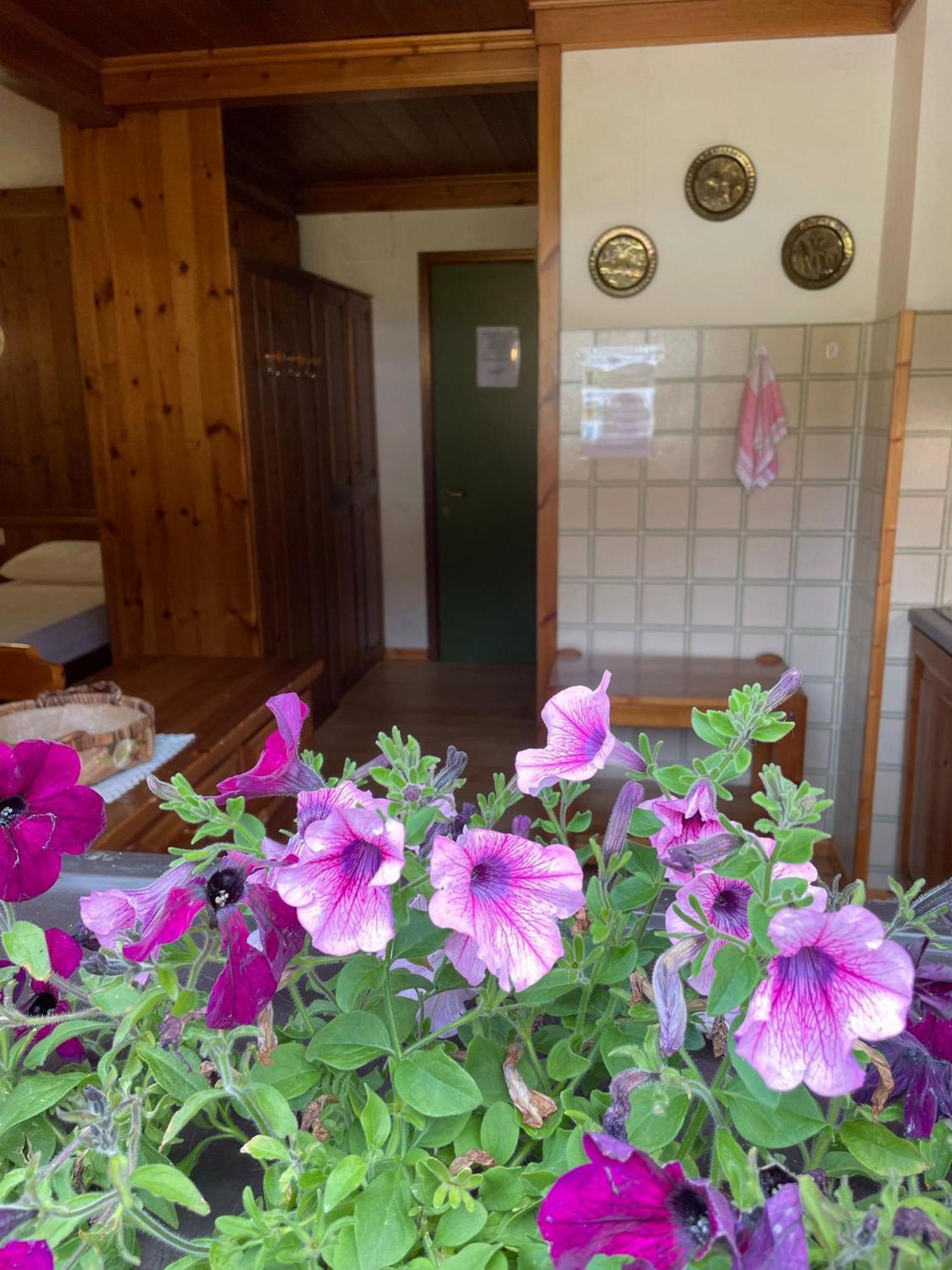 Chalet Scoiattolo Residence Sussy ファルカーデ エクステリア 写真